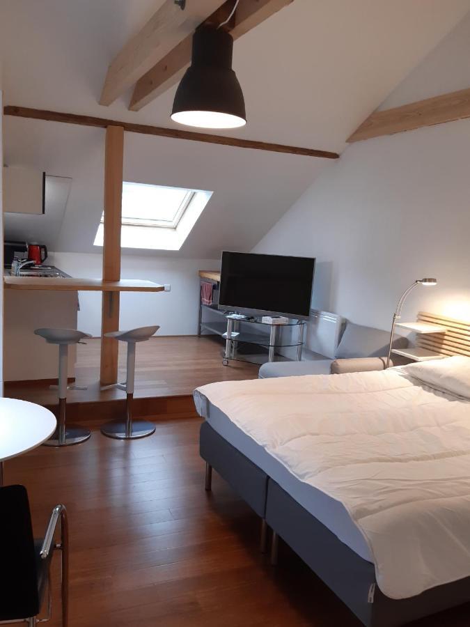Loft Studio Avec Charme Et Authenticite Altkirch Exterior foto