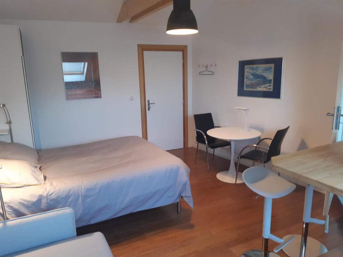 Loft Studio Avec Charme Et Authenticite Altkirch Exterior foto
